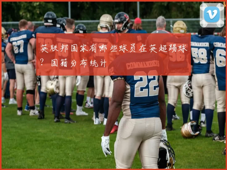 英联邦国家有哪些球员在英超踢球？国籍分布统计