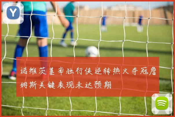 诺维茨基率独行侠逆转热火夺冠詹姆斯关键表现未达预期