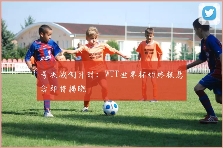 号决战倒计时：WTT世界杯的终极悬念即将揭晓