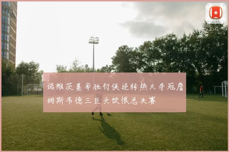 诺维茨基率独行侠逆转热火夺冠詹姆斯韦德三巨头饮恨总决赛