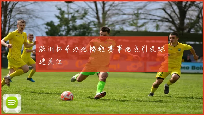 欧洲杯举办地揭晓 赛事地点引发球迷关注