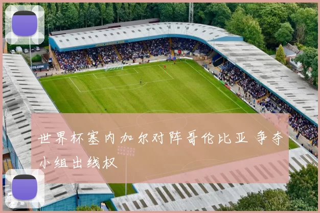 世界杯塞内加尔对阵哥伦比亚 争夺小组出线权