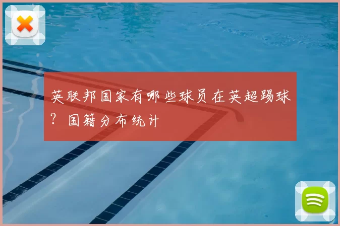英联邦国家有哪些球员在英超踢球?国籍分布统计