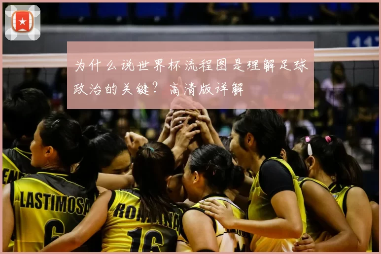 为什么说世界杯流程图是理解足球政治的关键?高清版详解