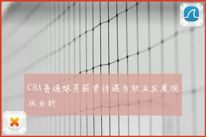 CBA普通球员薪资待遇与职业发展现状分析