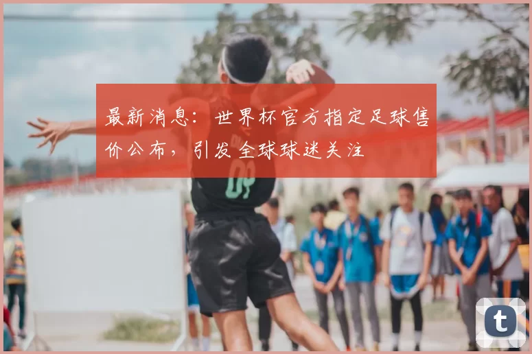 最新消息:世界杯官方指定足球售价公布,引发全球球迷关注