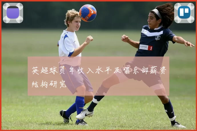 英超球员年收入水平及俱乐部薪资结构研究