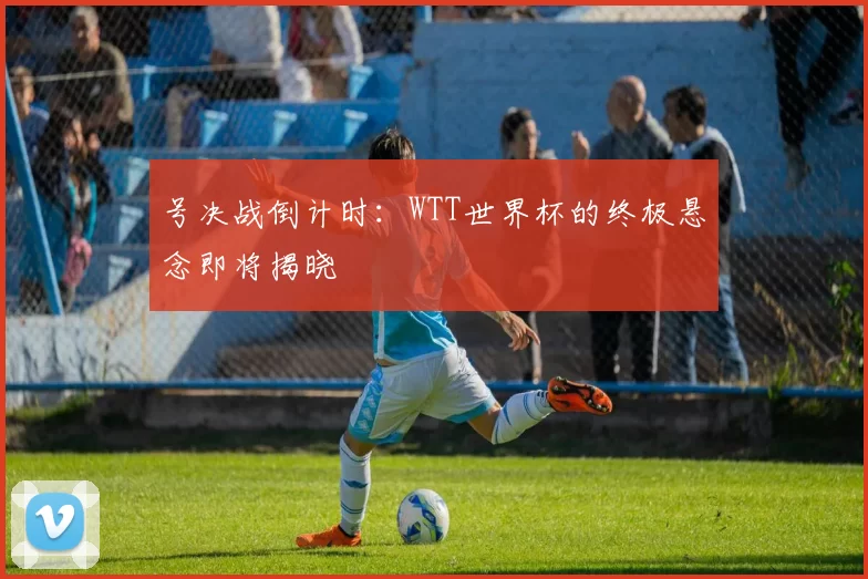 号决战倒计时：WTT世界杯的终极悬念即将揭晓