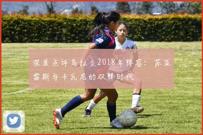 深度点评乌拉圭2018年阵容:苏亚雷斯与卡瓦尼的双锋时代