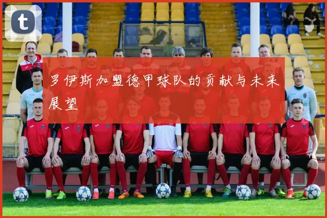 罗伊斯加盟德甲球队的贡献与未来展望