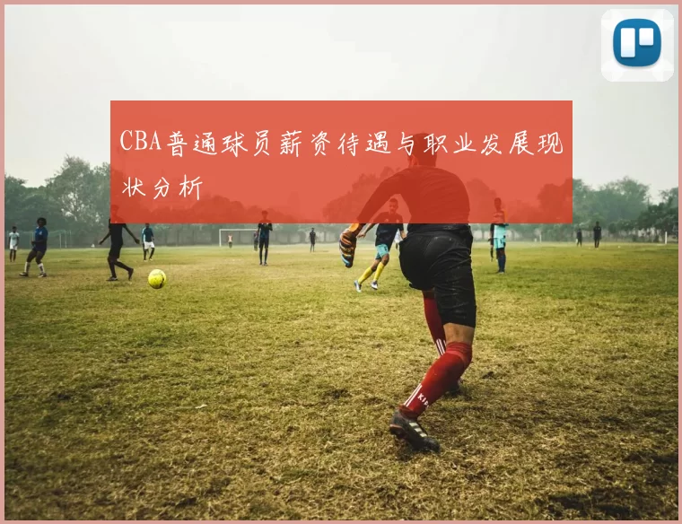 CBA普通球员薪资待遇与职业发展现状分析