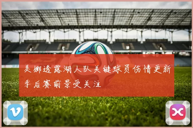 美娜透露湖人队关键球员伤情更新季后赛前景受关注