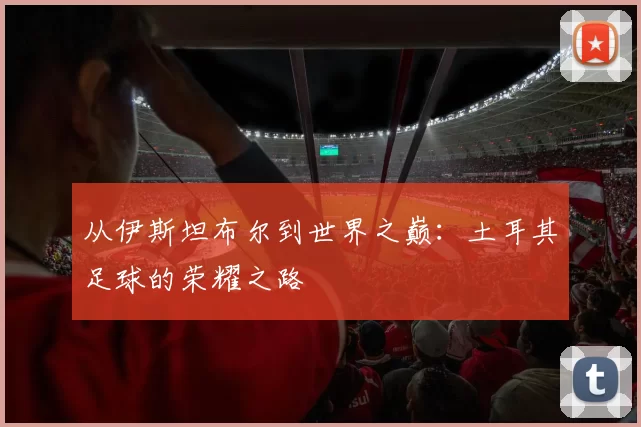 从伊斯坦布尔到世界之巅：土耳其足球的荣耀之路