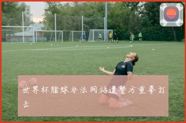 世界杯赌球非法网站遭警方重拳打击