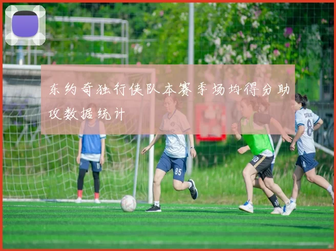 东约奇独行侠队本赛季场均得分助攻数据统计