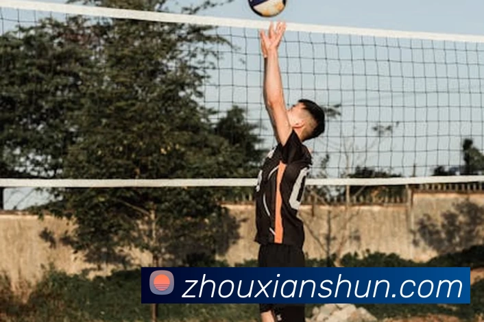 星空体育平台生态图