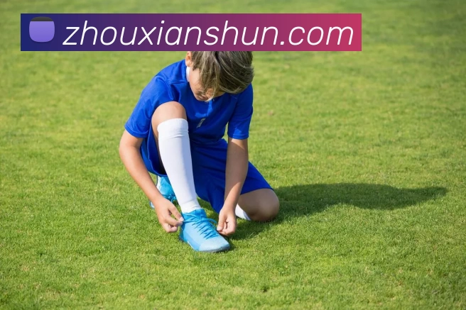 星空体育APP 封面图